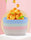 Plate Set Pack of 10 – Plastic Split Bone Dish Plates with Holder (Random Colors
