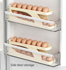 15 Egg Storage Box Rolling Design Space Saving PP Refrigerator Organizer Multi Layer Egg Holder| Random Colour