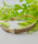 Imported Adjustable 2 Leafy Crystal Bracelet – Elegance Redefined | Best Quality Artificial Bracelet For Girls & Women | Bracelet For Every Occasion | Elegant Design